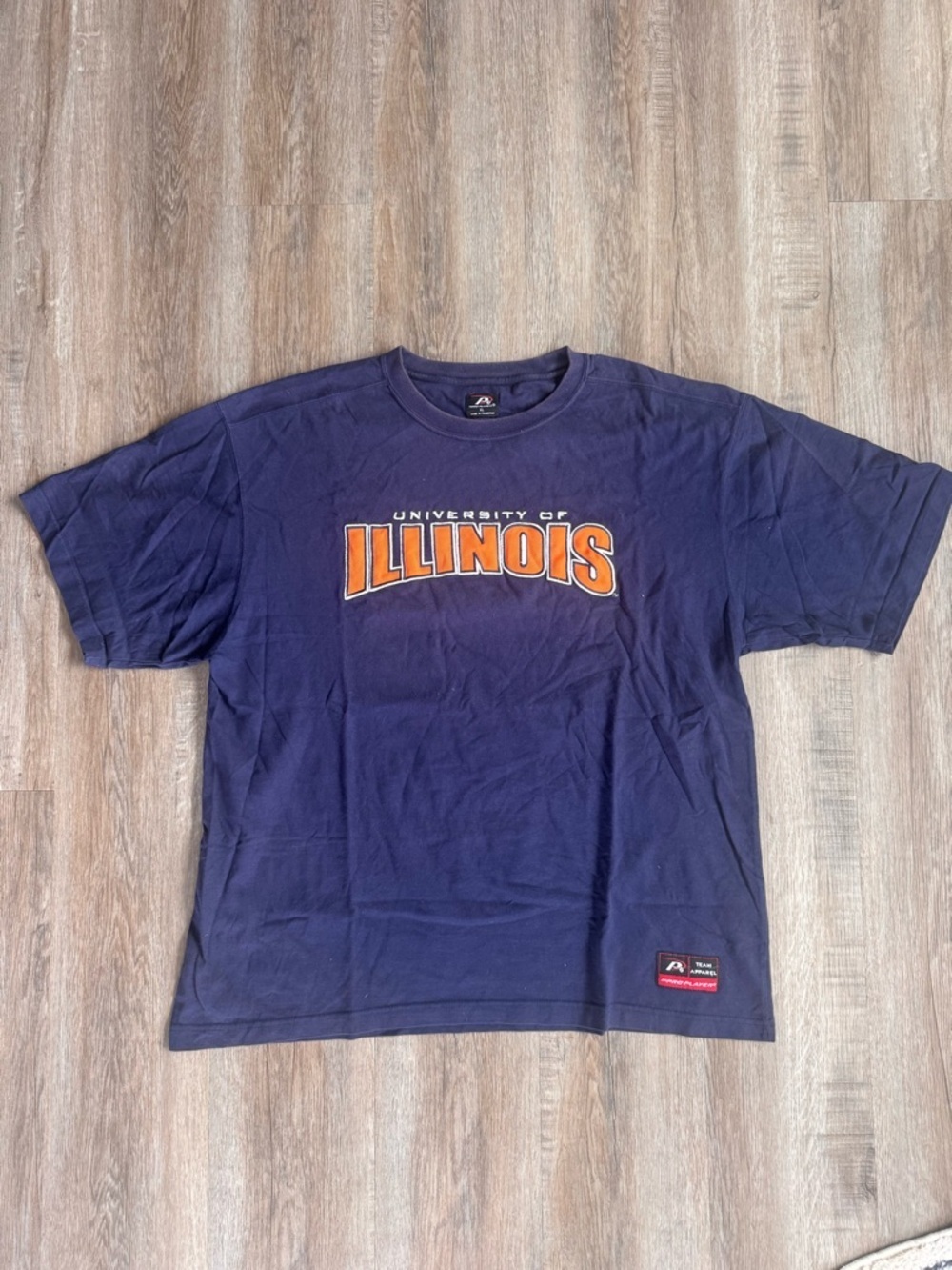 Vintage University of Illinois Embroidered T-Shirt - size XL